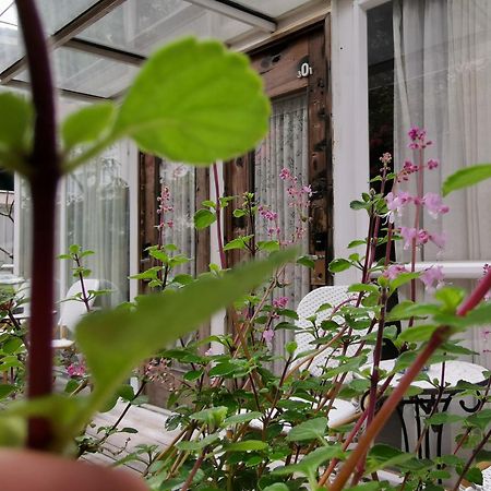 Shenzhen No'6 Garden Villa --French Window With Garden View,Close To Sea World &Shekou Ferry Port &K11 Ecoast &Subway Nearby ,Offer Western Food And Coffee &English Speaking With Tour Services Extérieur photo